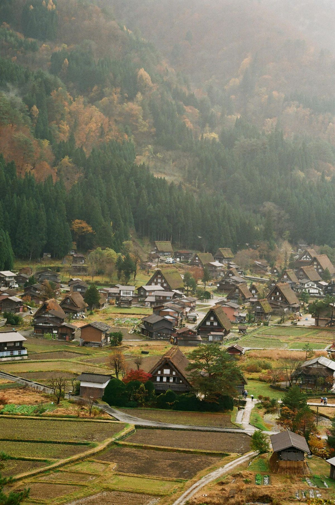 日本岐阜縣白川鄉合掌村的全景，展示其獨特的合掌造茅草屋頂建築。作為世界文化遺產，這幅冬季美景凸顯了傳統日本民家的歷史韻味，適合追求日本生活美學和手工藝品的顧客。